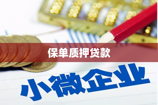 海城保单质押贷款