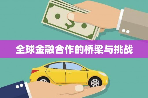 海城全球金融合作的桥梁与挑战