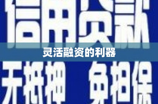 海城灵活融资的利器