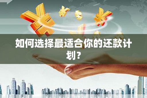 海城如何选择最适合你的还款计划？