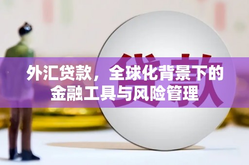 海城外汇贷款，全球化背景下的金融工具与风险管理