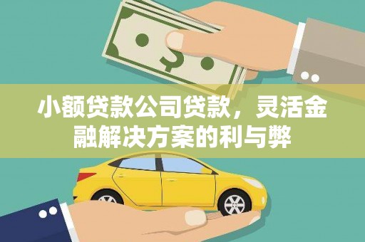 海城小额贷款公司贷款，灵活金融解决方案的利与弊